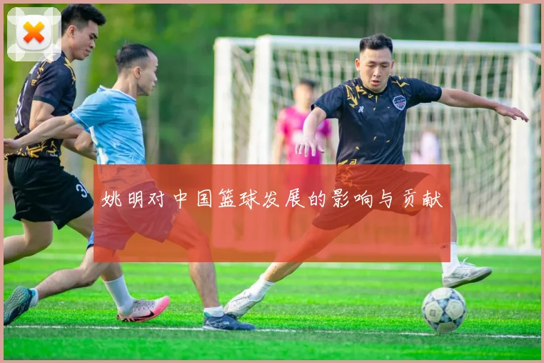 姚明对中国篮球发展的影响与贡献